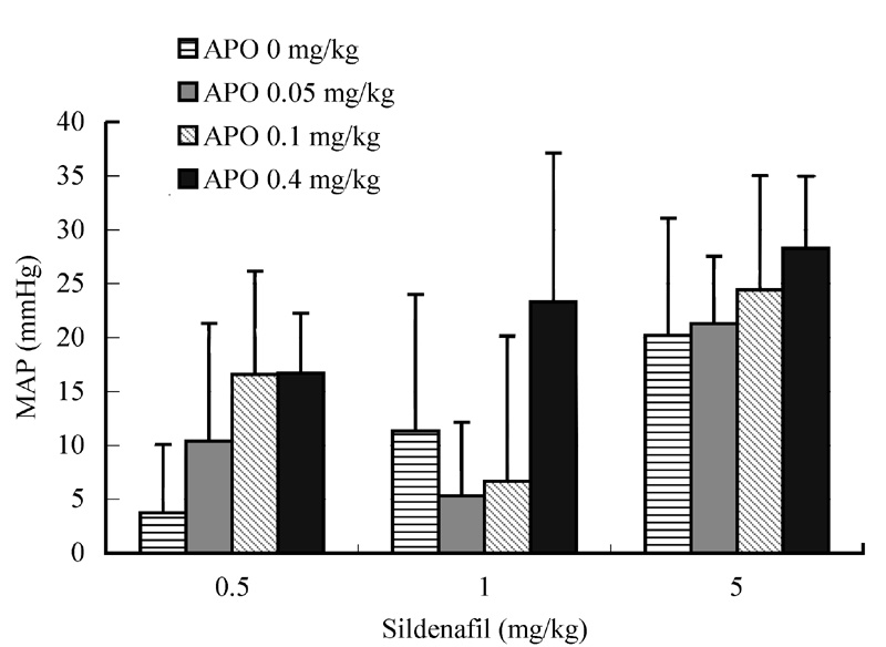 Sildenafil Mechanism Of Action. Administration of sildenafil